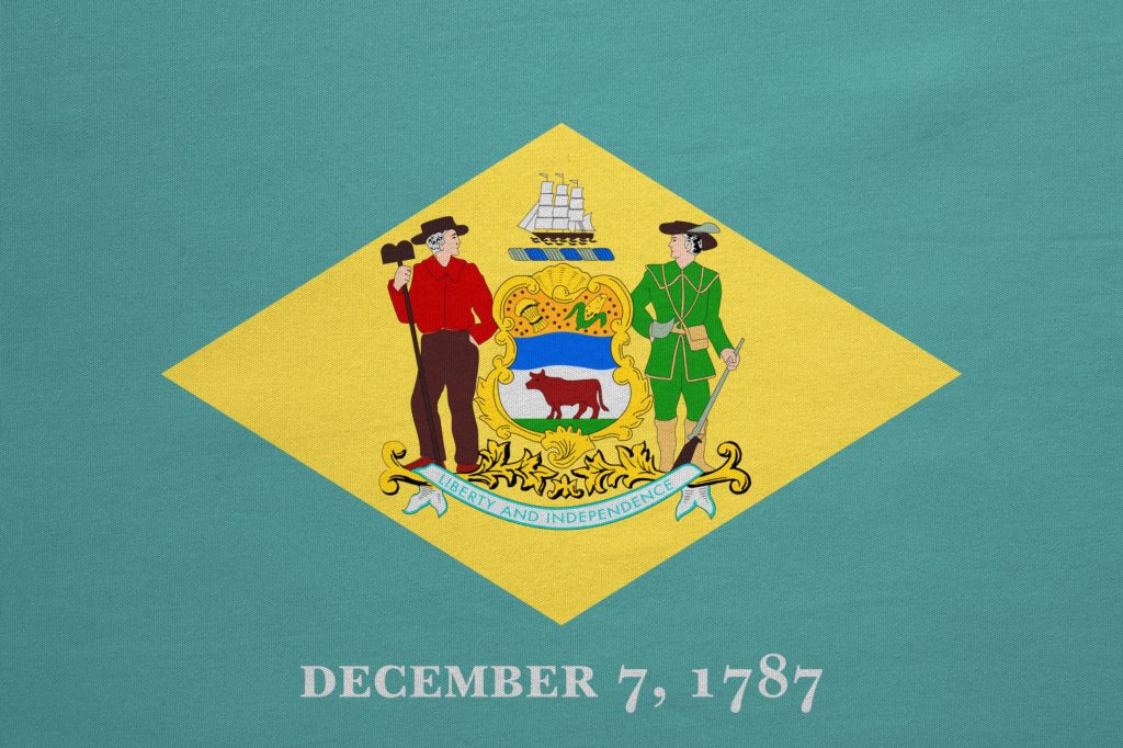 An image of the Delaware state flag.