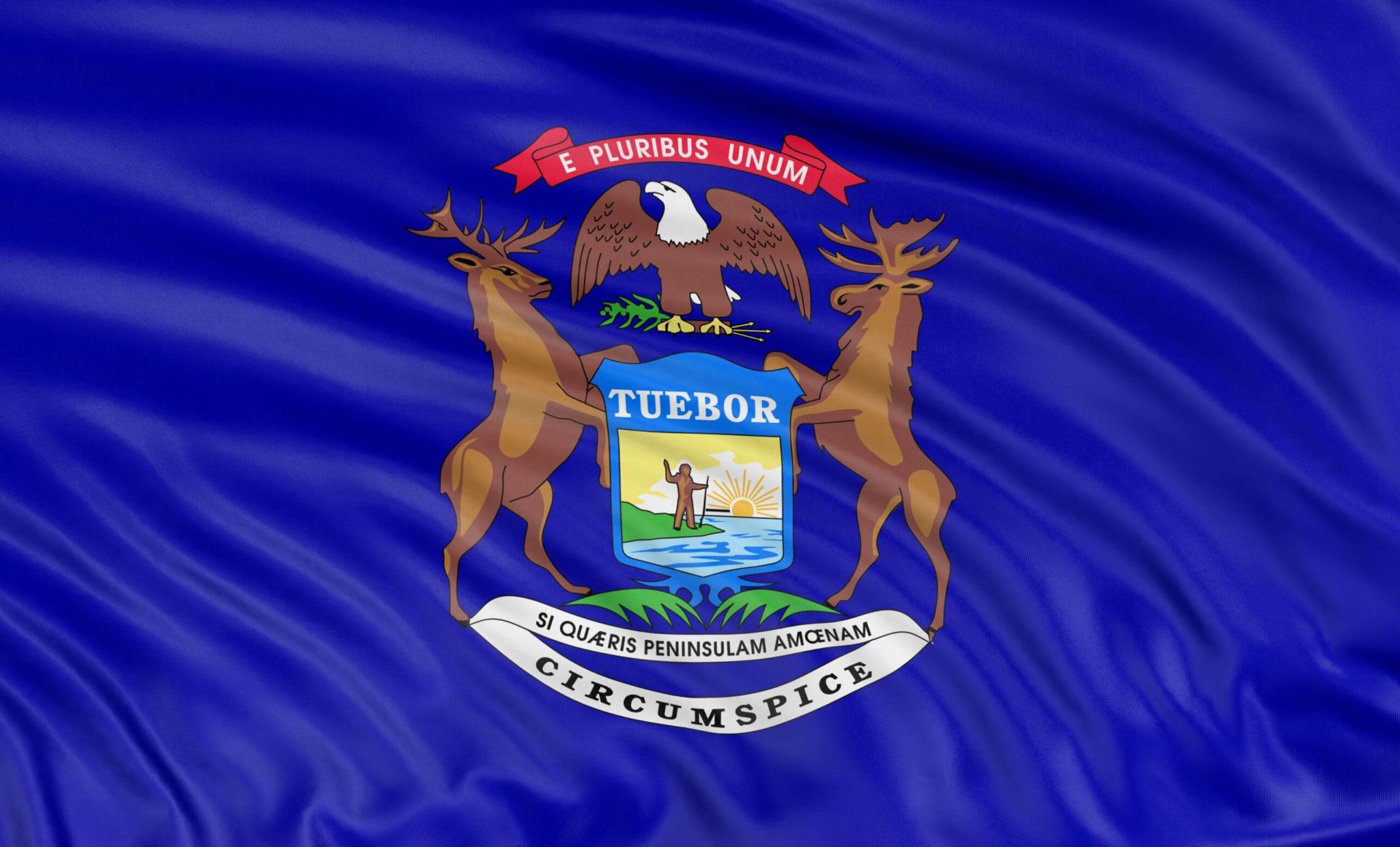 An image of the Michigan state flag.