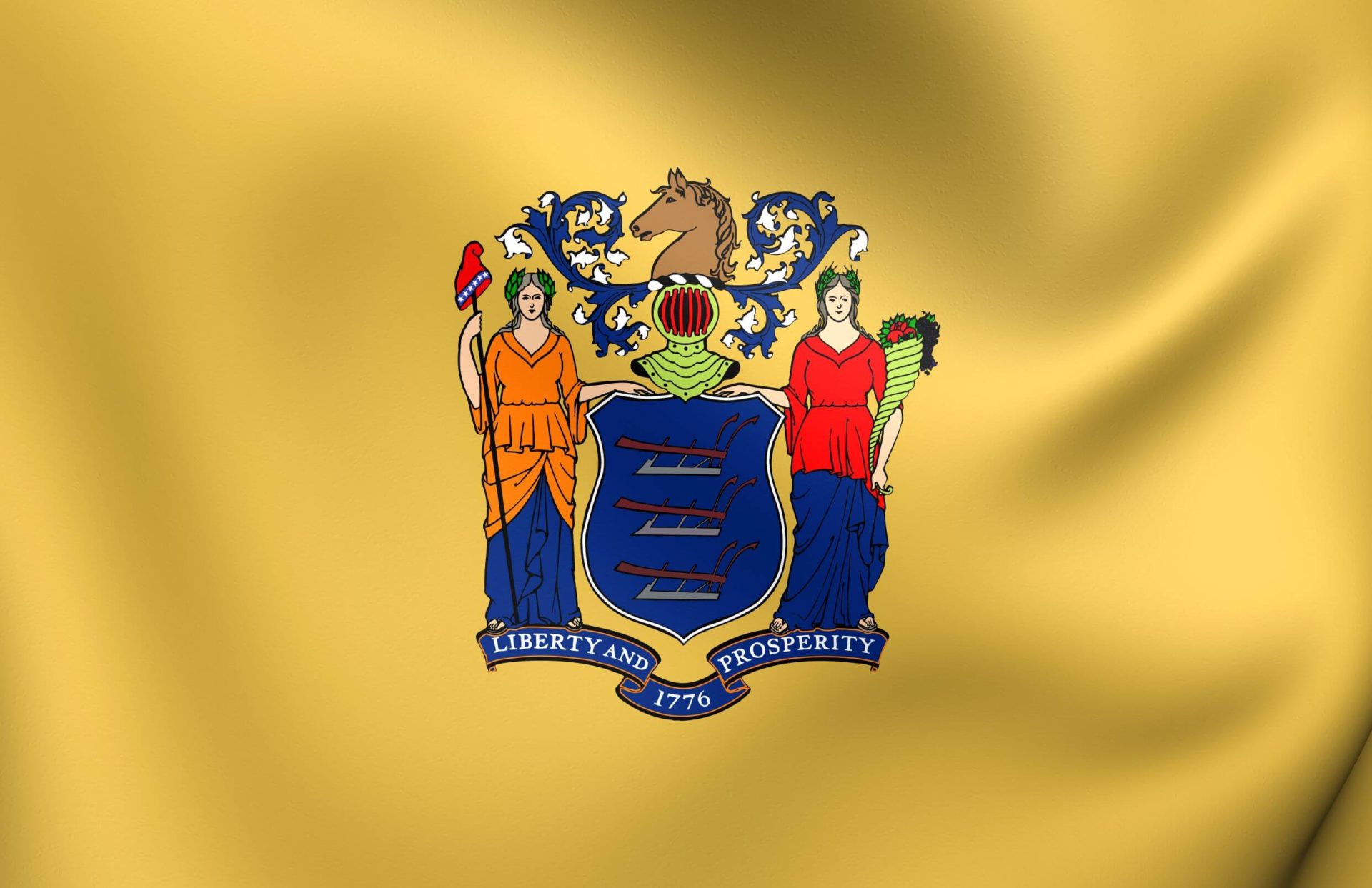 The New Jersey State Flag.