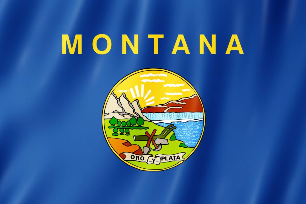 An image of the Montana state flag.