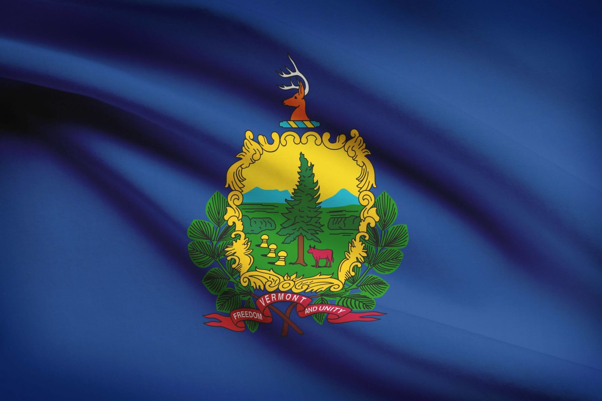 The Vermont state flag.